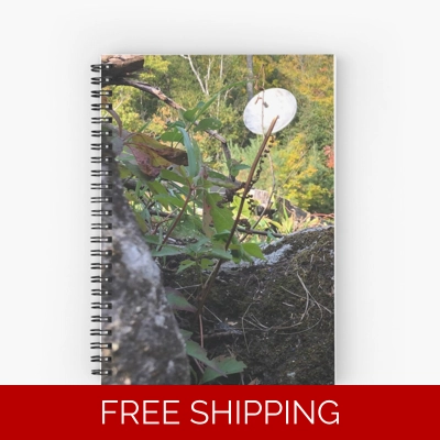 Le Studio Spiral Notebook Satellite Dish 2019